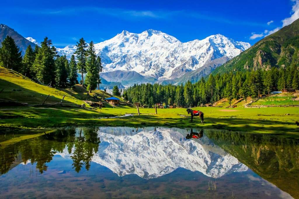 Discover the Beauty of Naran Kaghan Valley